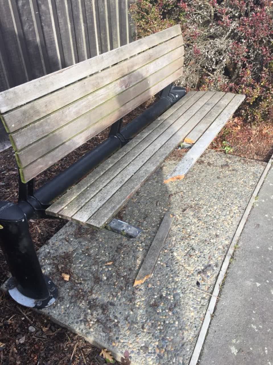 The photograph attached to this parks report