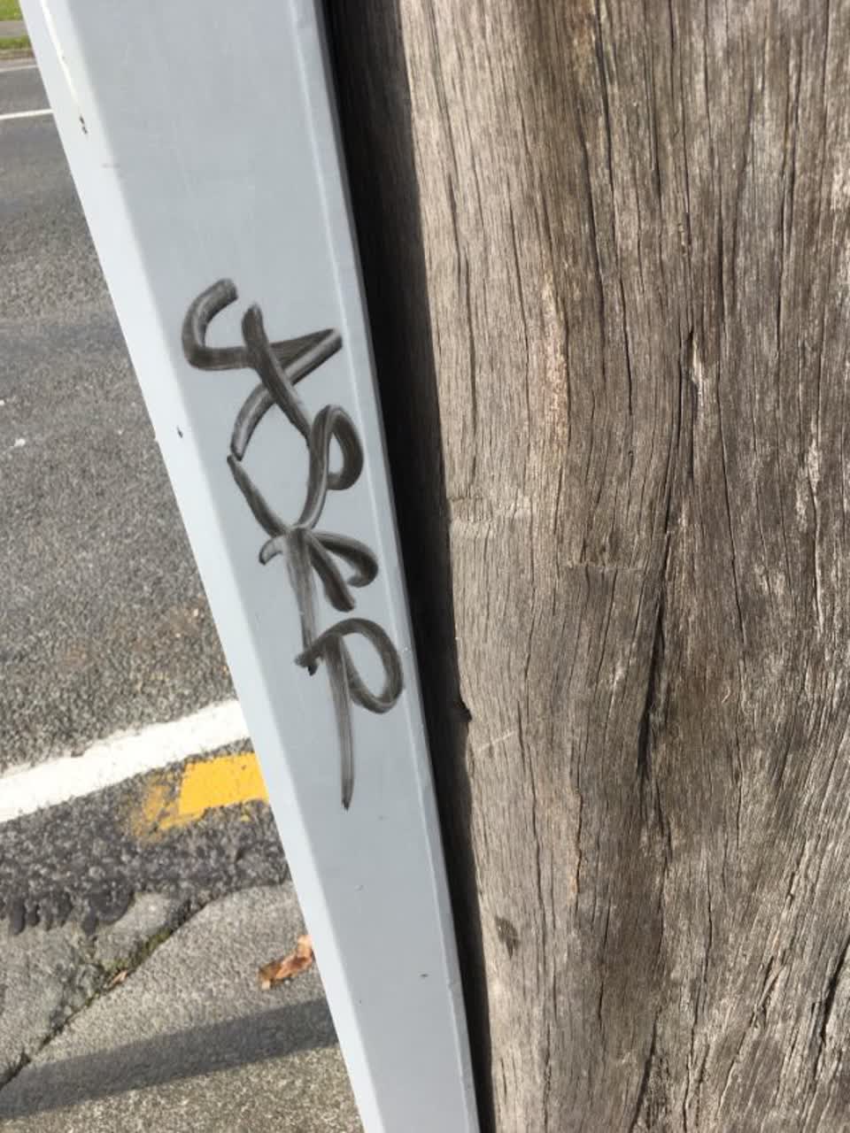 The photograph attached to this graffiti report