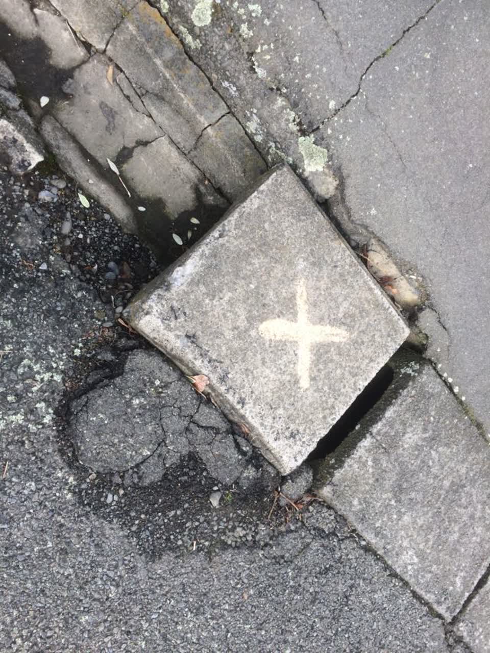The photograph attached to this roading/streets report