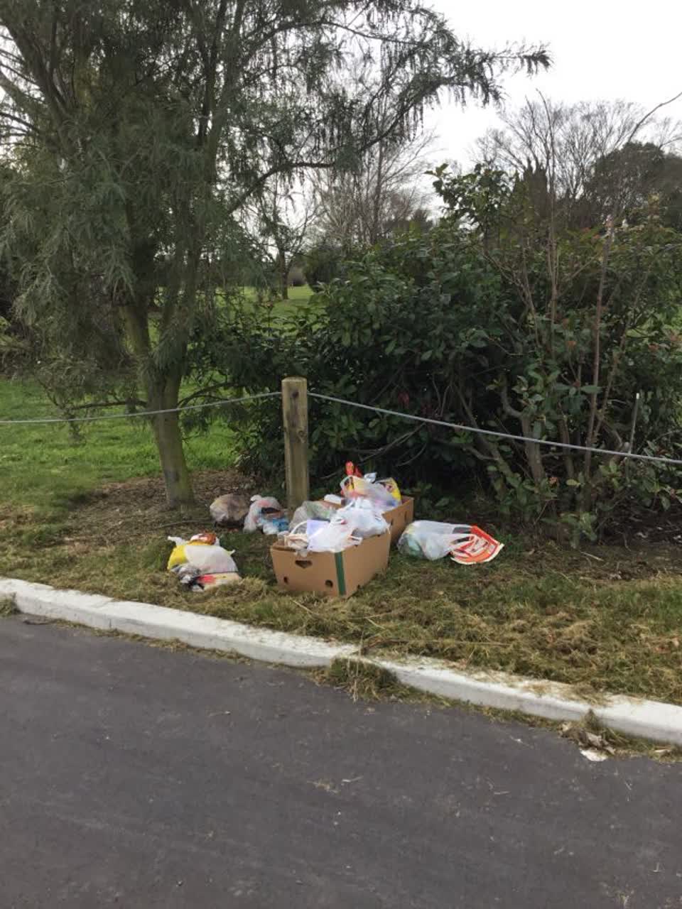 The photograph attached to this rubbish/recycling report