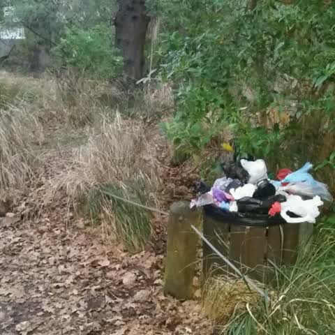 Rubbish/Recycling, a report photo