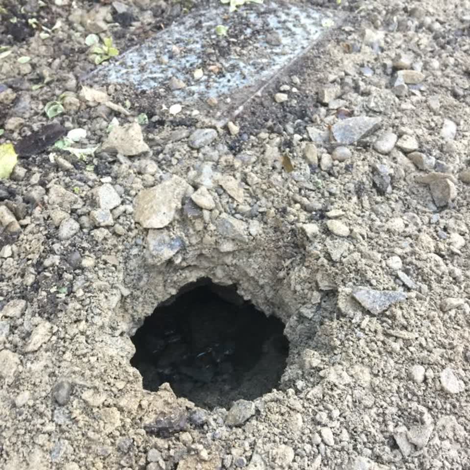 The photograph attached to this water supply report