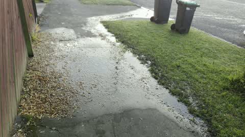 Flooding, a report photo