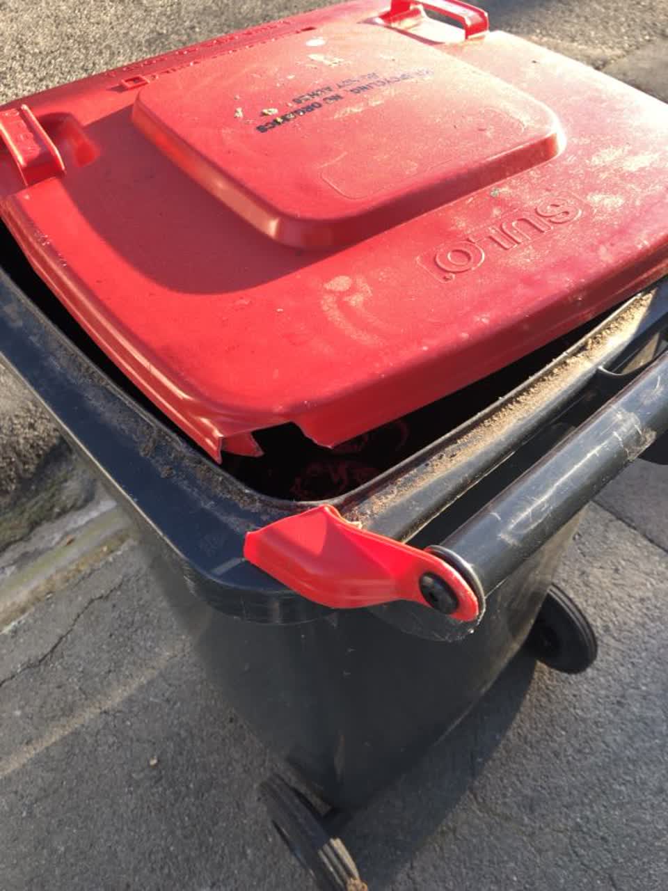 The photograph attached to this rubbish/recycling report