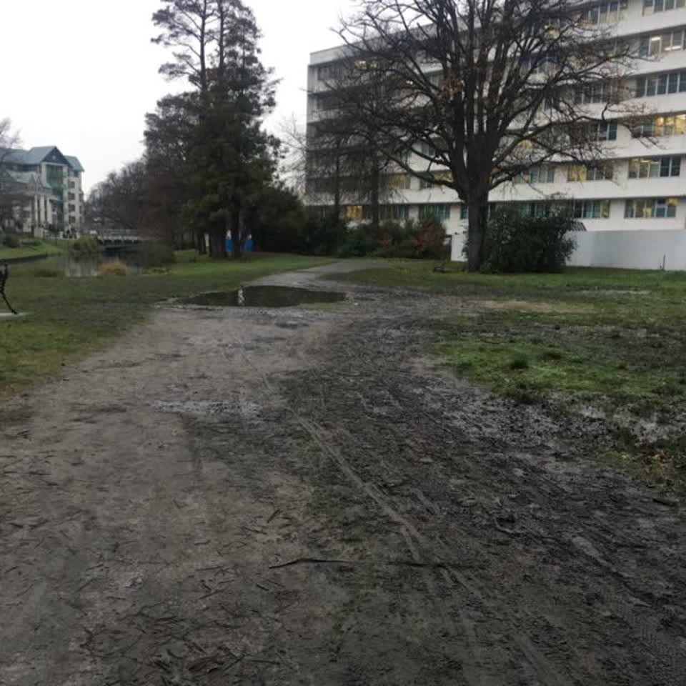 The photograph attached to this parks report