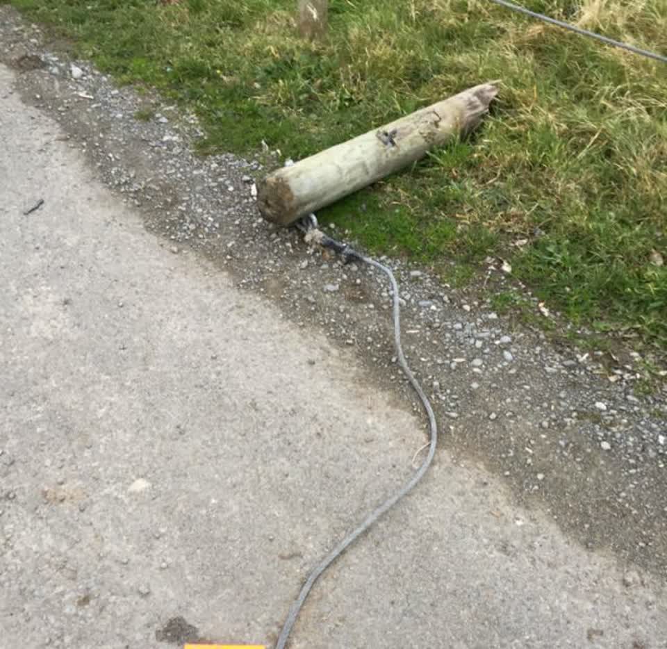 The photograph attached to this parks report