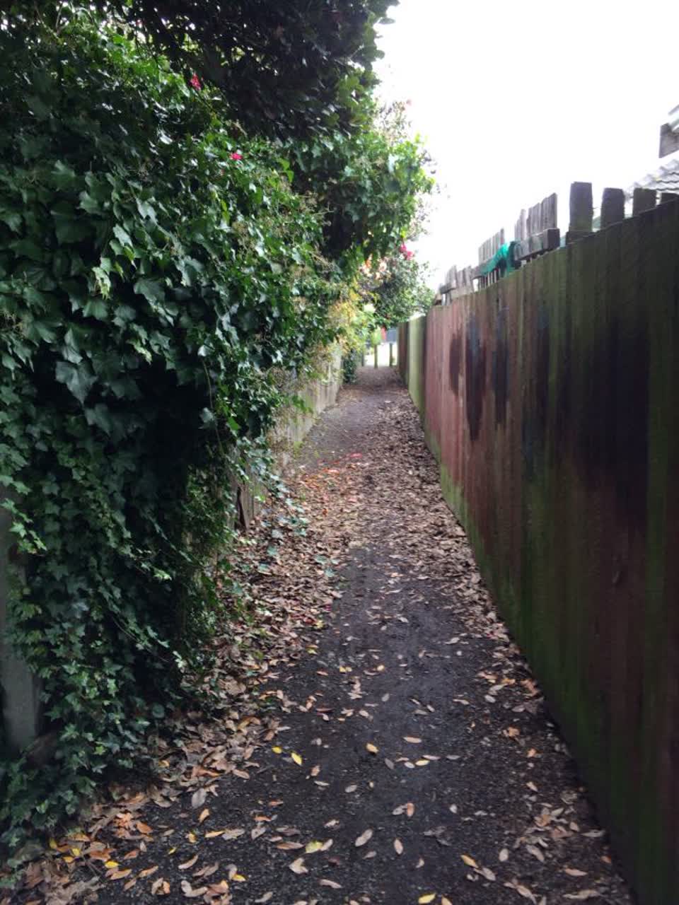 The photograph attached to this parks report