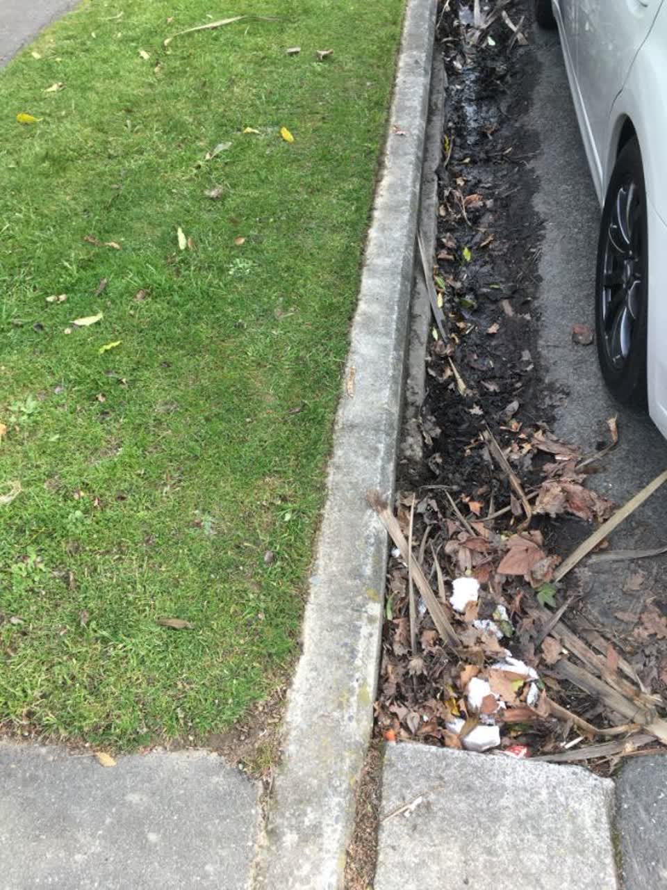 The photograph attached to this wastewater/stormwater report