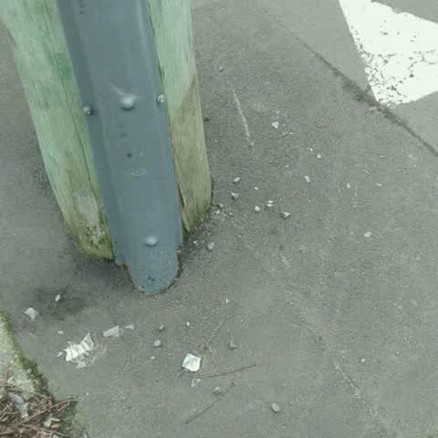 Roading/Streets, a report photo