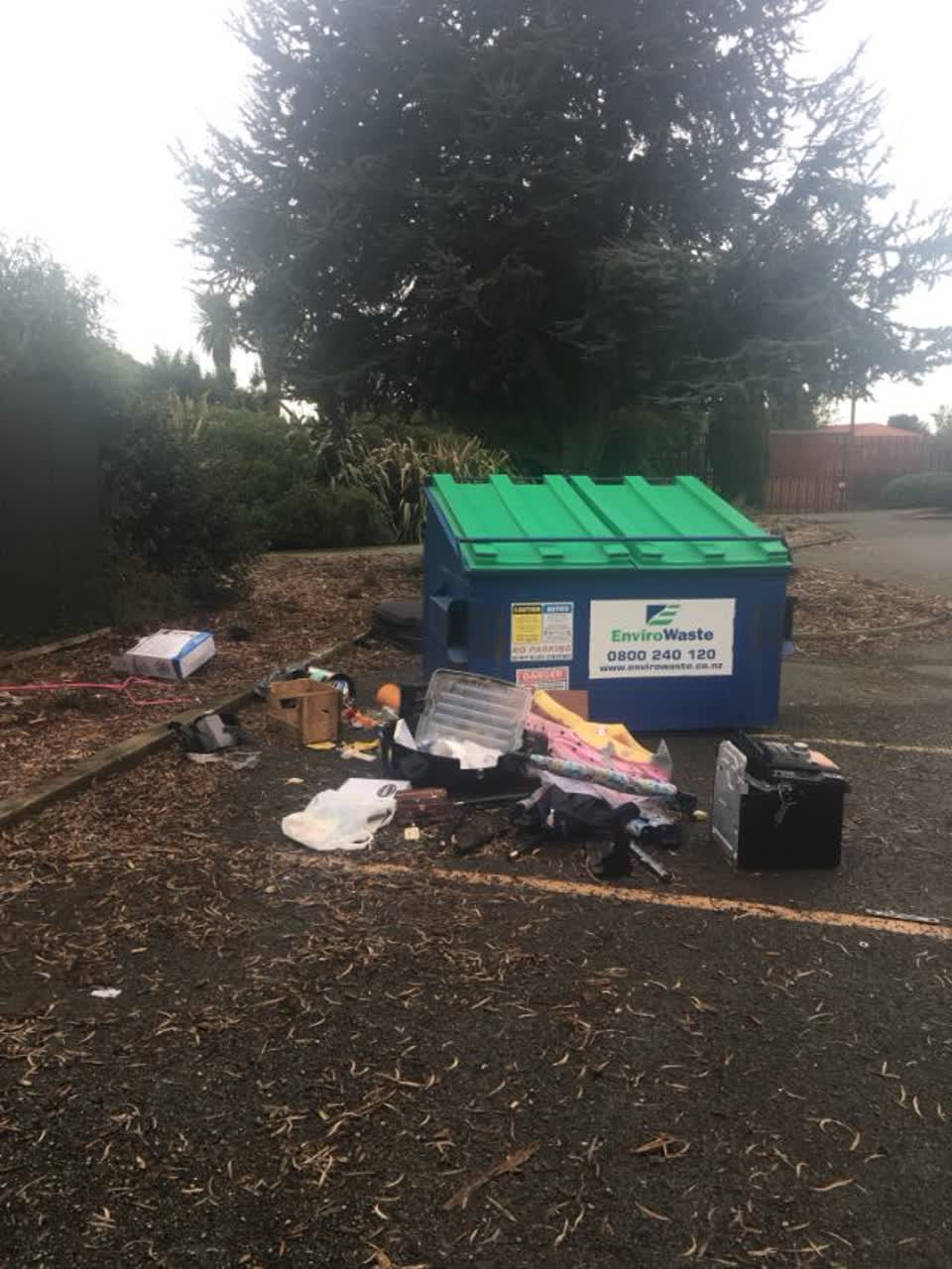 The photograph attached to this parks report