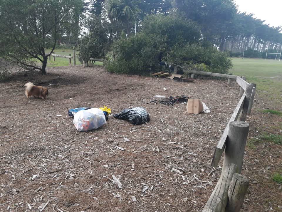 The photograph attached to this parks report