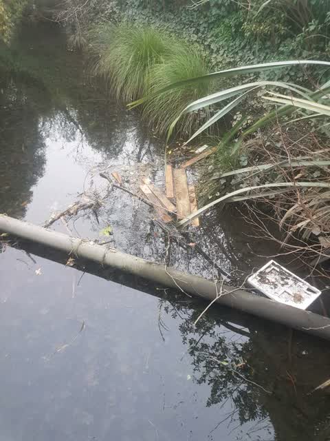 Rubbish/Recycling, a report photo