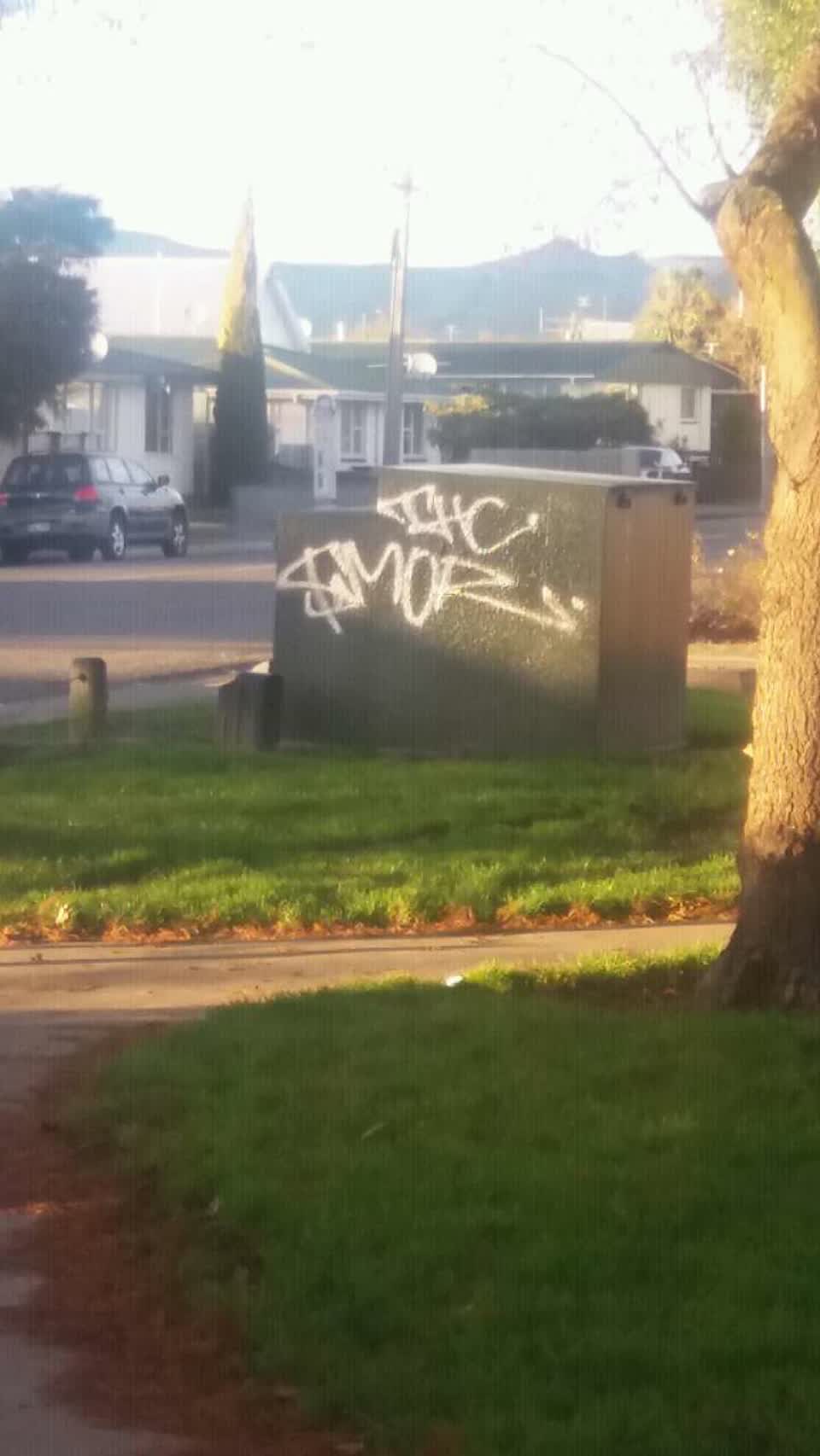 The photograph attached to this graffiti report
