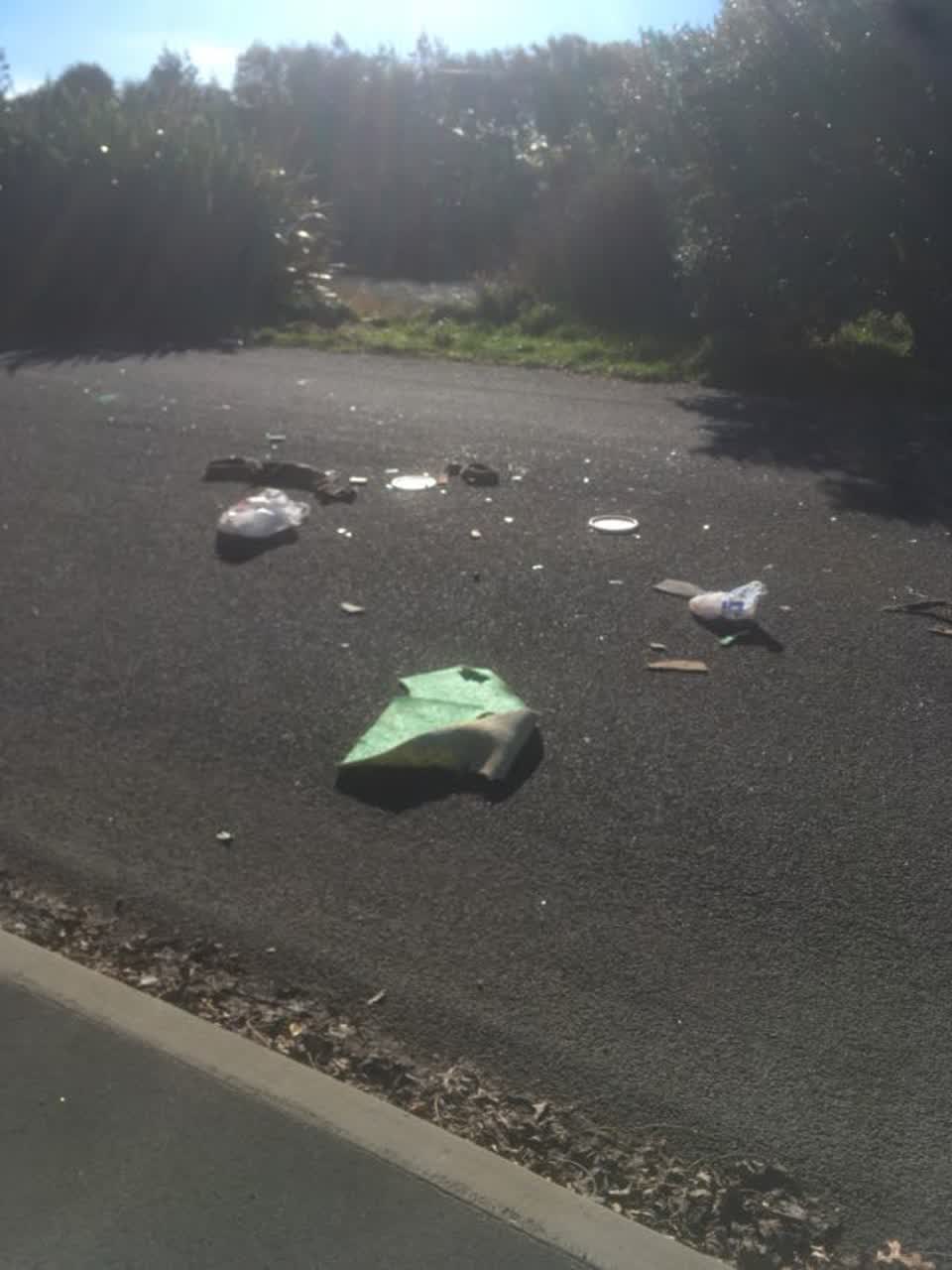 The photograph attached to this rubbish/recycling report