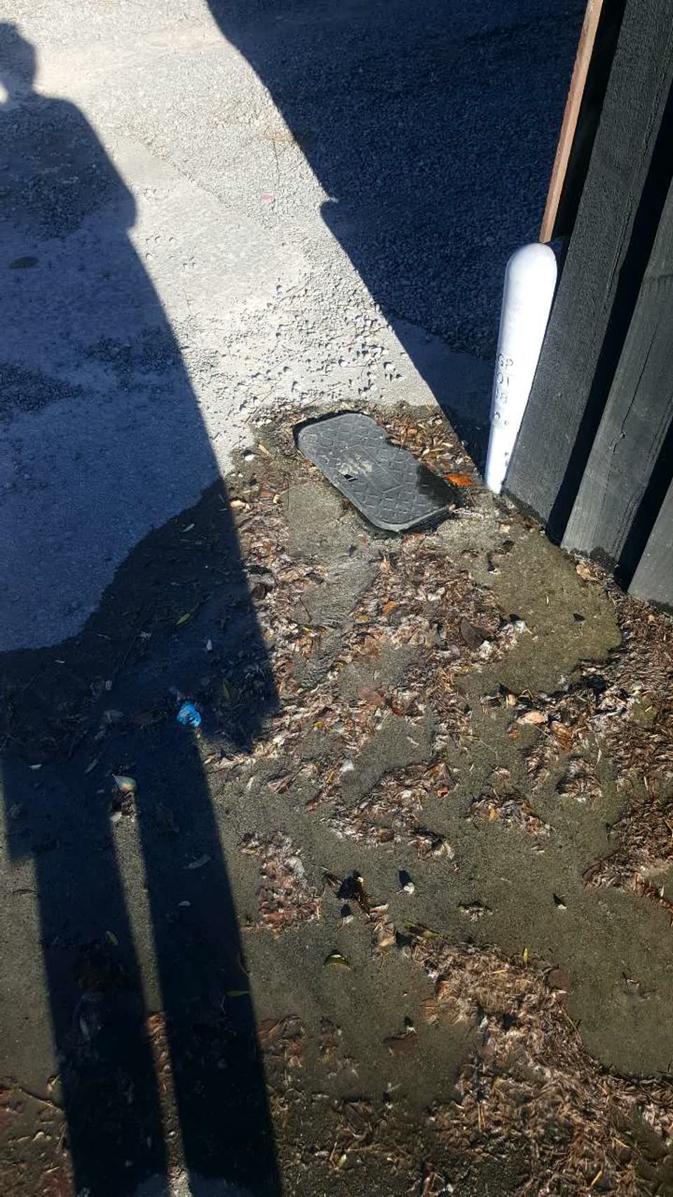 The photograph attached to this water supply report
