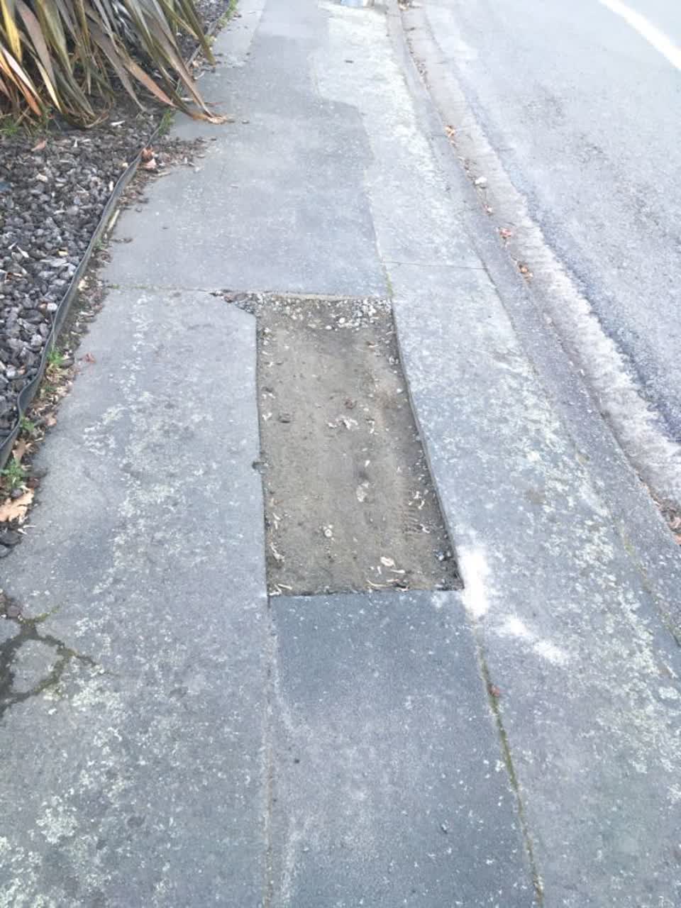 The photograph attached to this roading/streets report