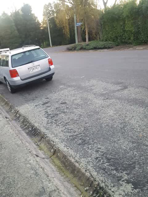 Roading/Streets, a report photo