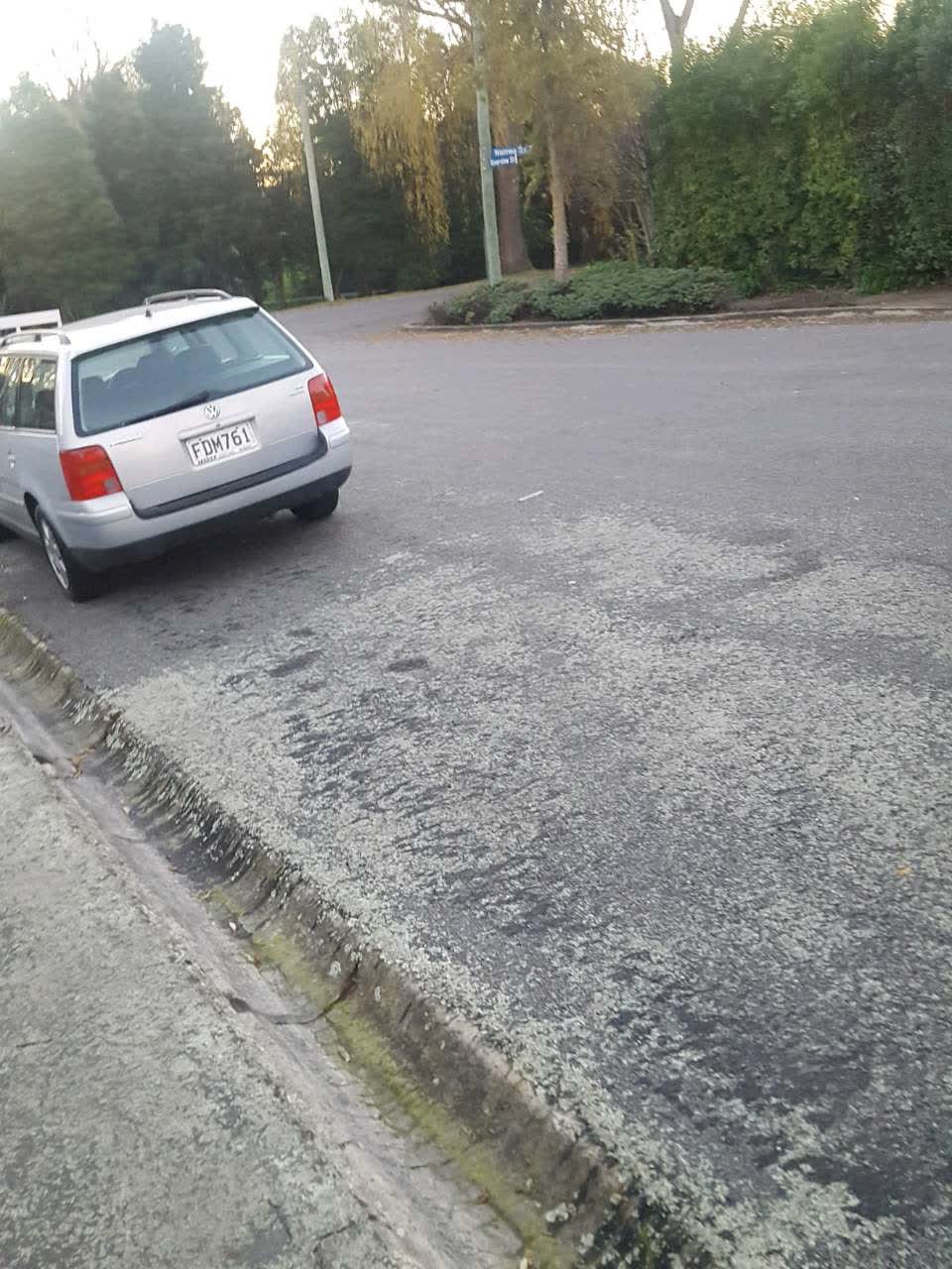 The photograph attached to this roading/streets report