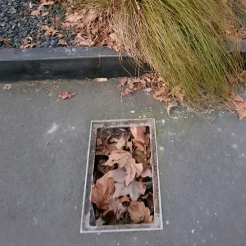 Roading/Streets, a report photo