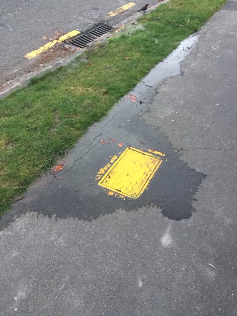 The photograph attached to this wastewater/stormwater report