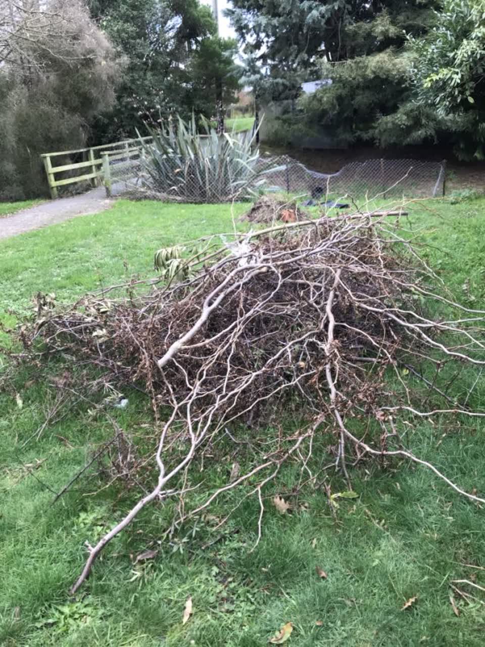 The photograph attached to this parks report