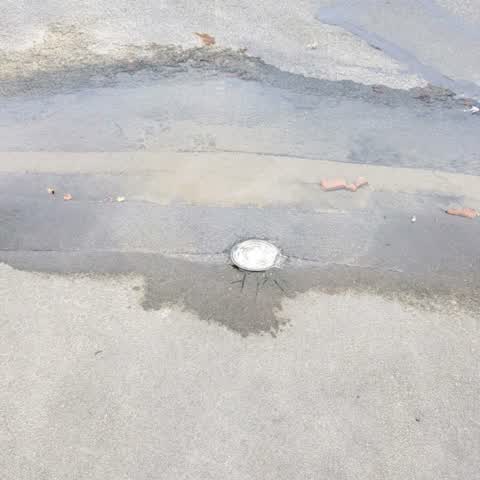 Water Supply, a report photo