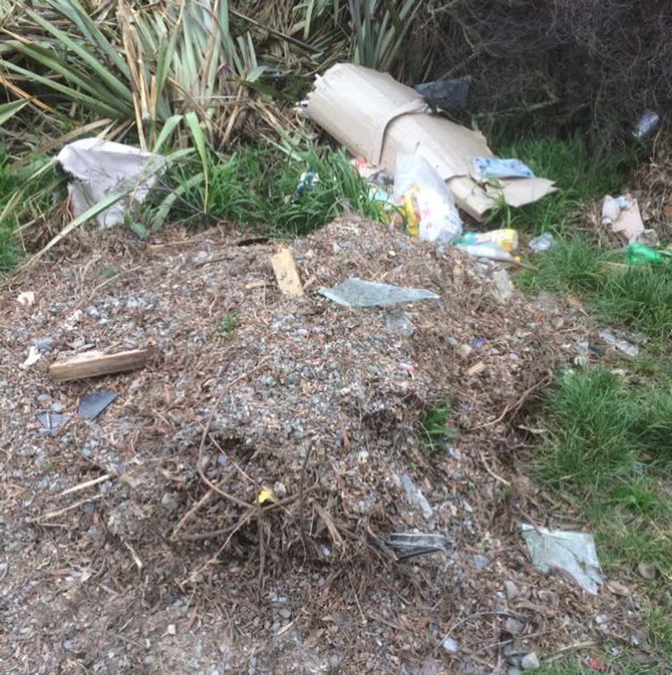 The photograph attached to this rubbish/recycling report