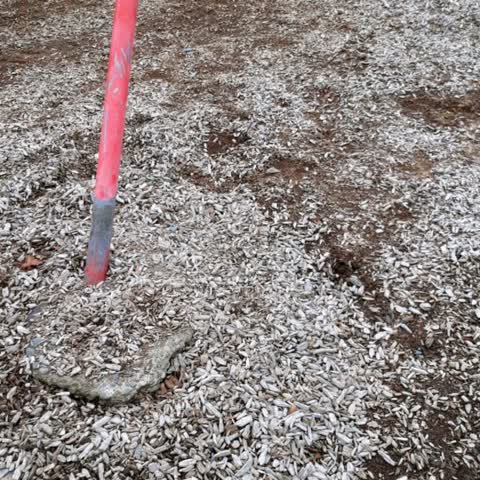 Parks — a report photo