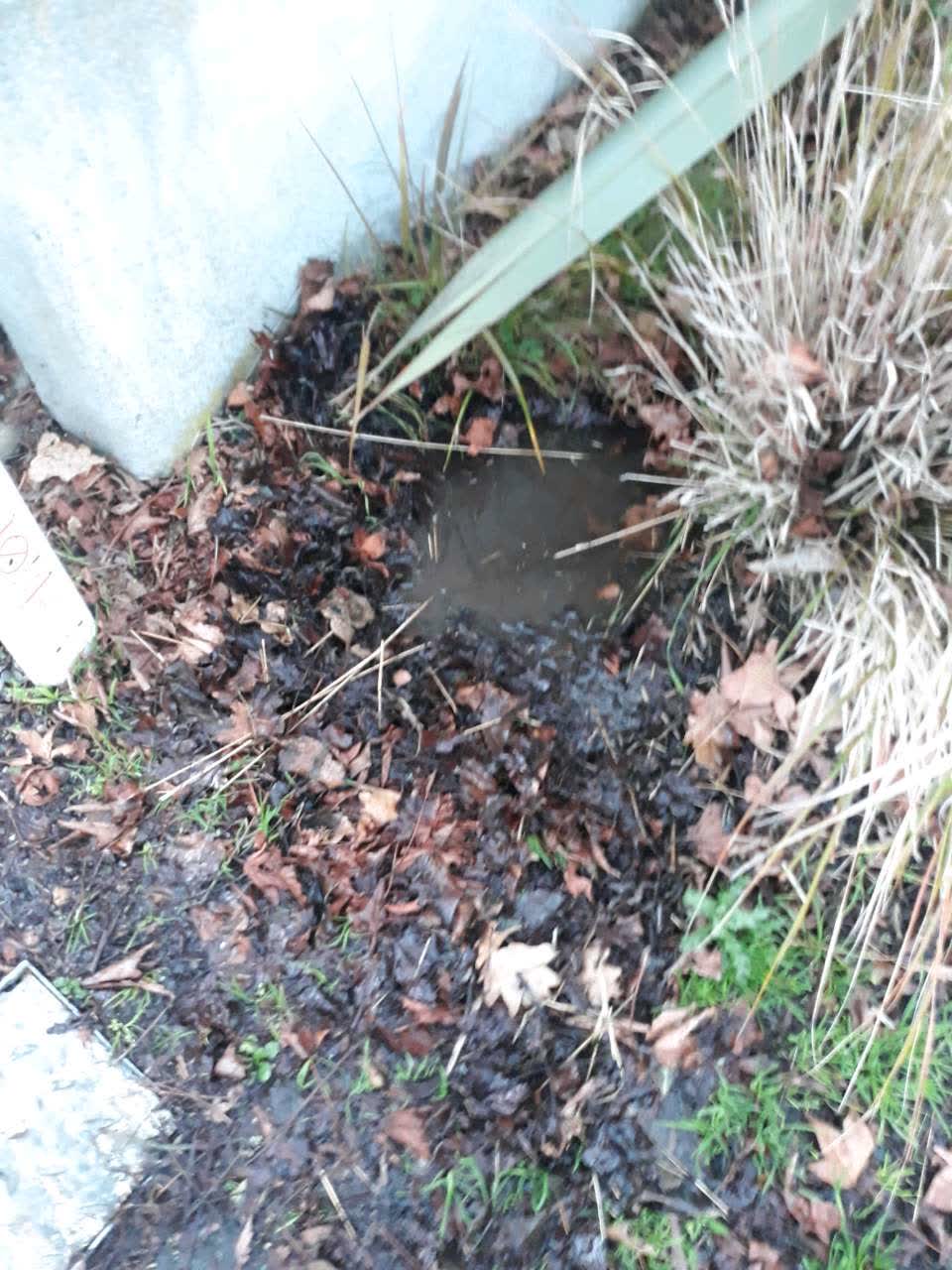 The photograph attached to this water supply report