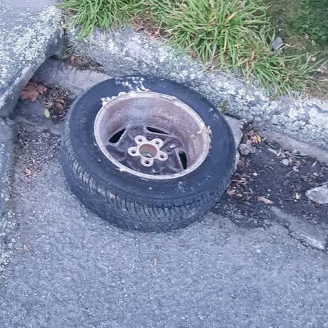 Rubbish/Recycling, a report photo
