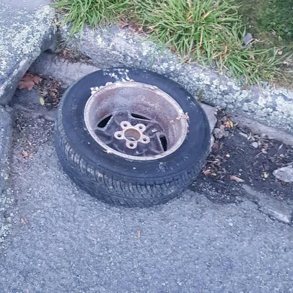 The photograph attached to this rubbish/recycling report