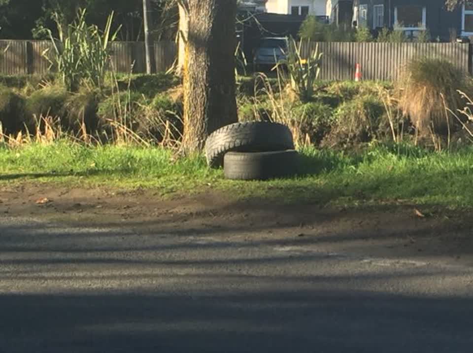 The photograph attached to this rubbish/recycling report