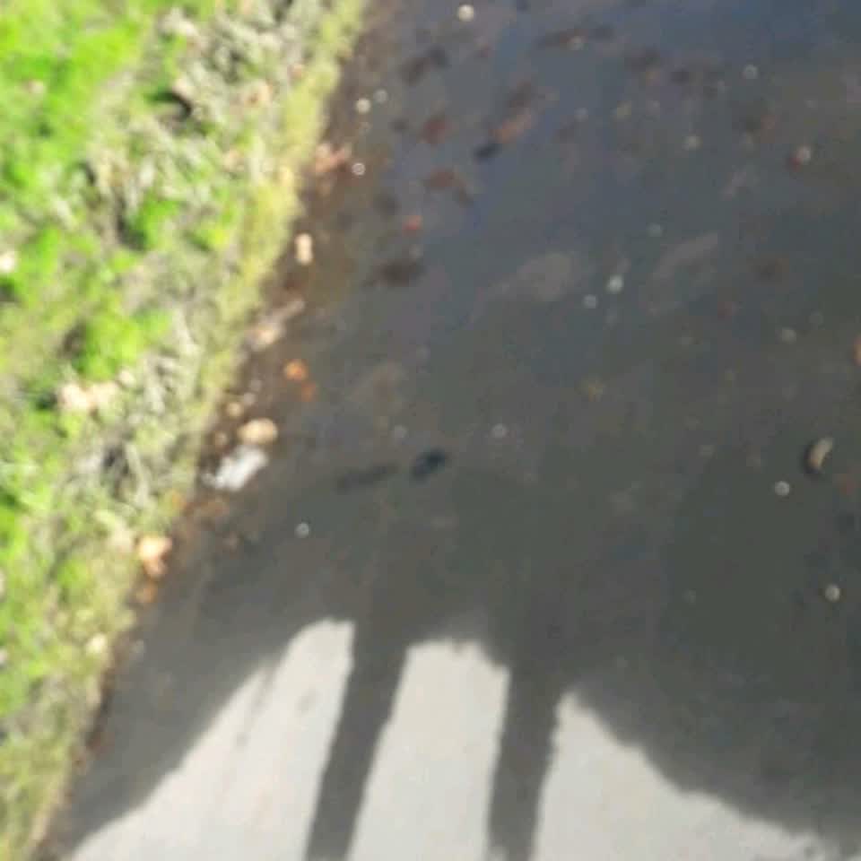 The photograph attached to this water supply report