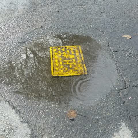 Wastewater/Stormwater, a report photo