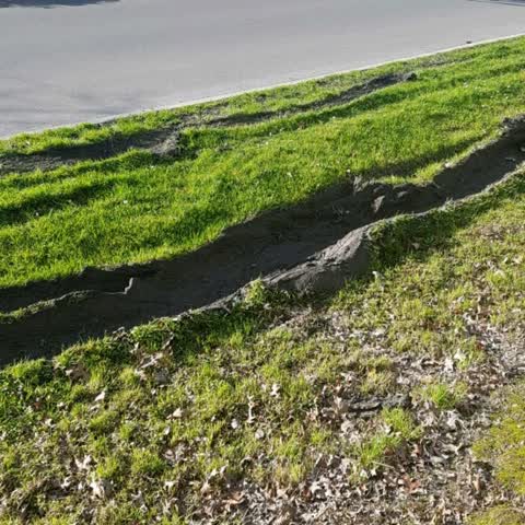Roading/Streets, a report photo