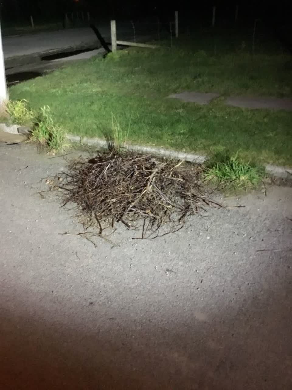 The photograph attached to this rubbish/recycling report
