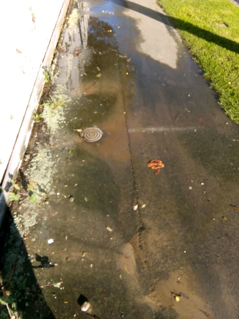 The photograph attached to this water supply report