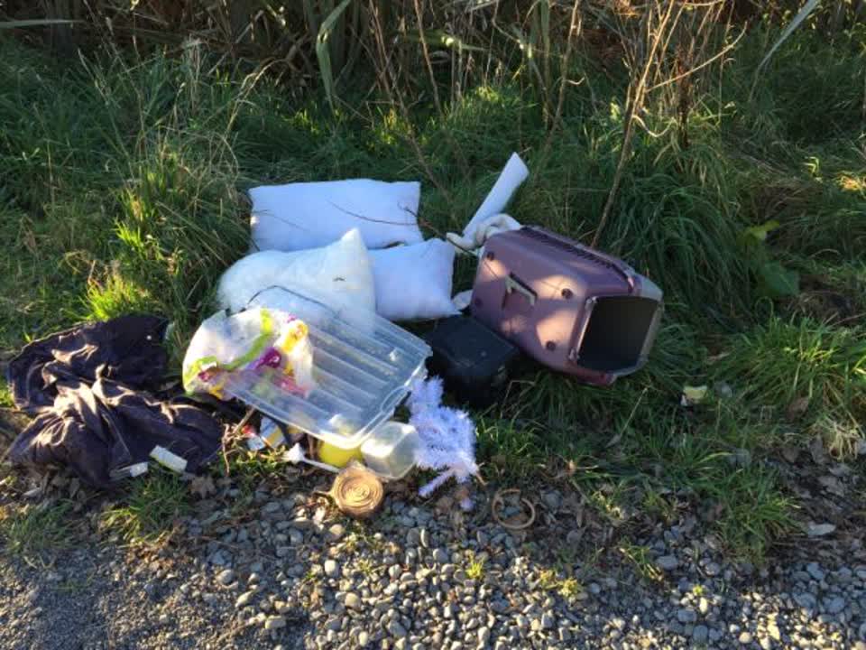 The photograph attached to this rubbish/recycling report