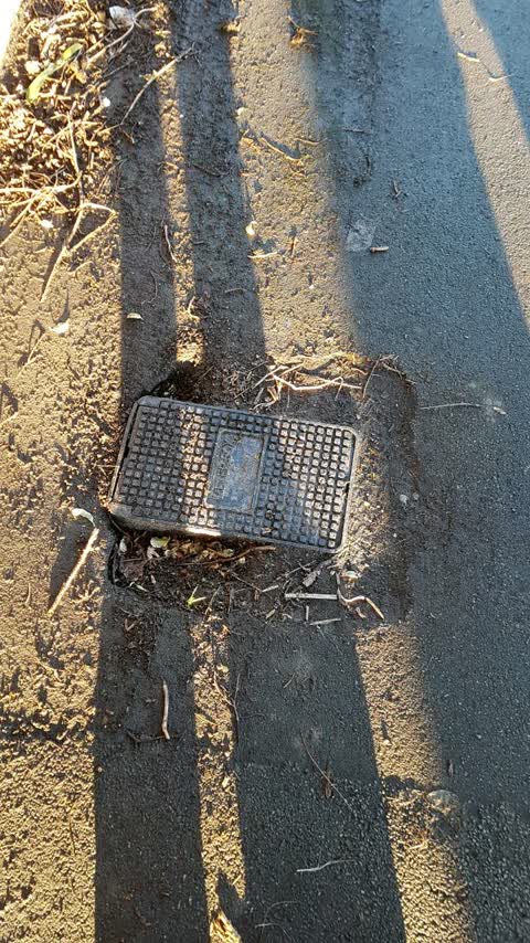 Roading/Streets, a report photo