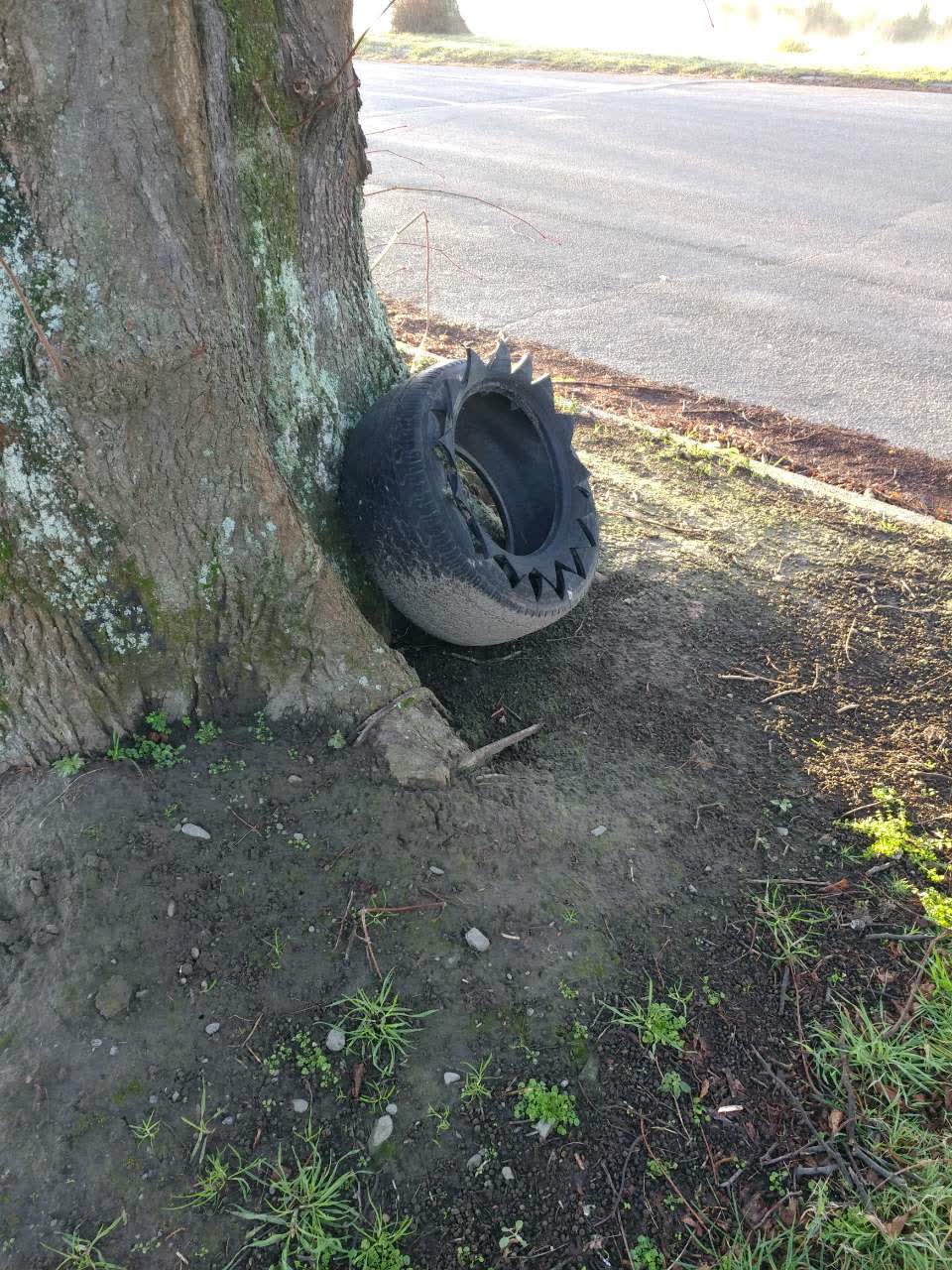 The photograph attached to this rubbish/recycling report