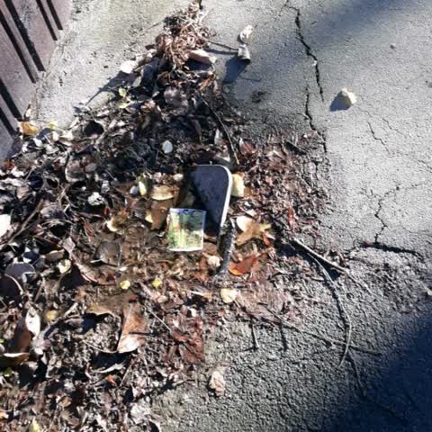 Roading/Streets, a report photo