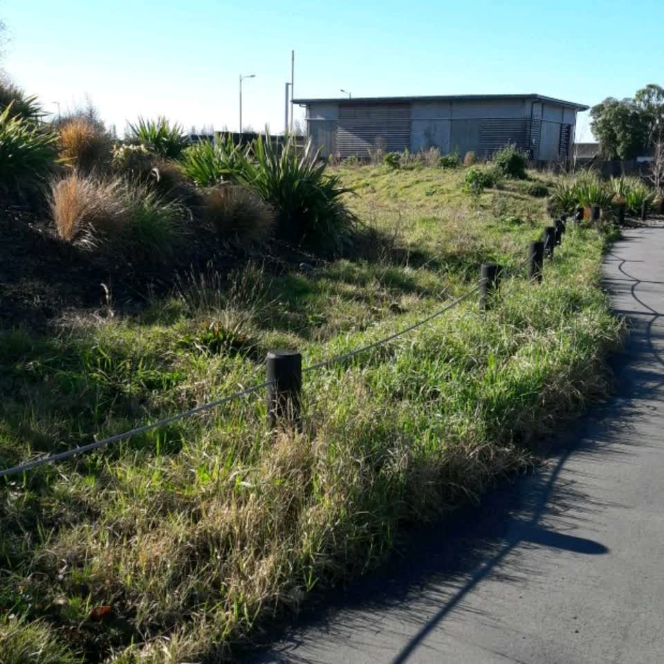 The photograph attached to this parks report