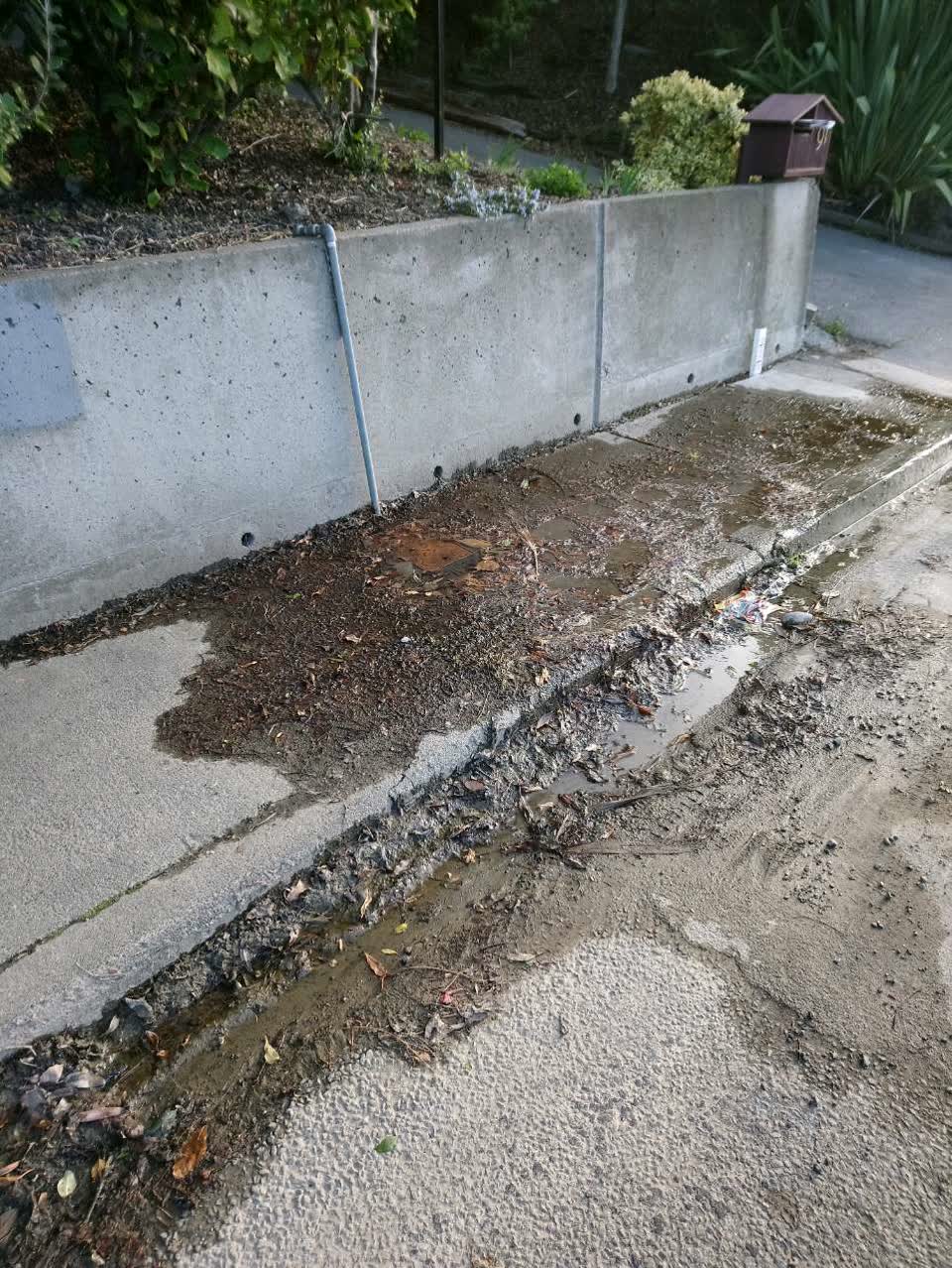 The photograph attached to this water supply report