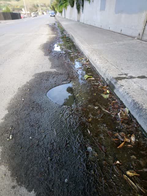 Water Supply, a report photo