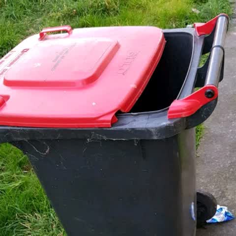 Rubbish/Recycling, a report photo