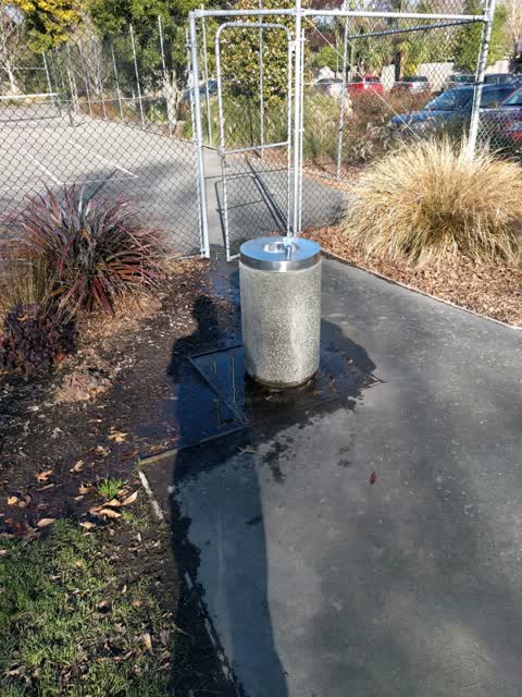Water Supply, a report photo
