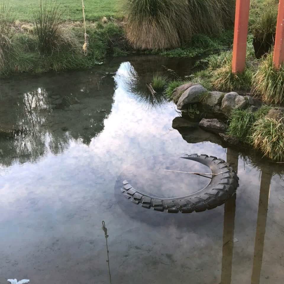 The photograph attached to this parks report