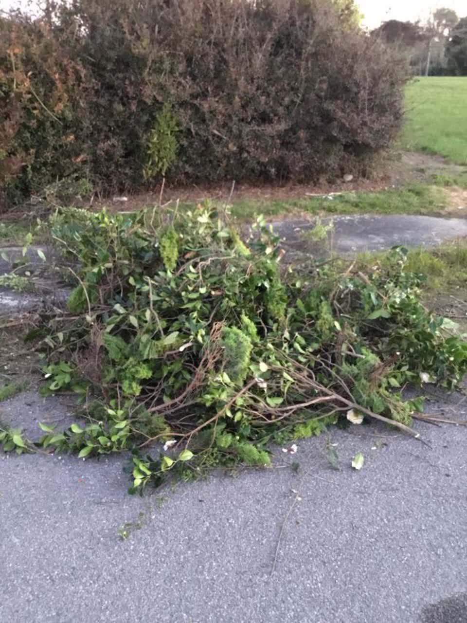 The photograph attached to this rubbish/recycling report