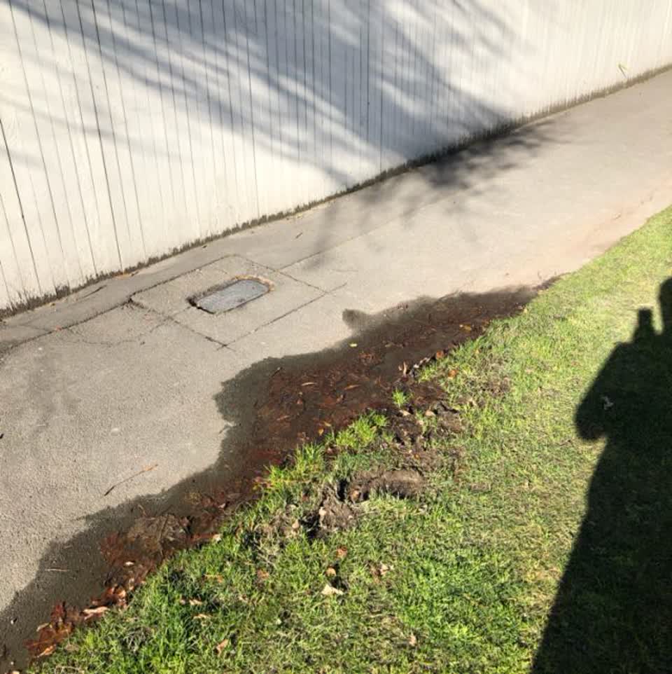 The photograph attached to this flooding report