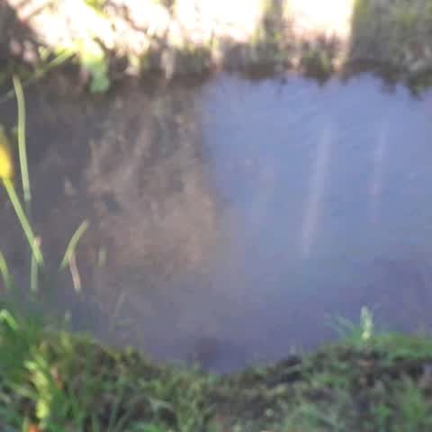 Wastewater/Stormwater, a report photo